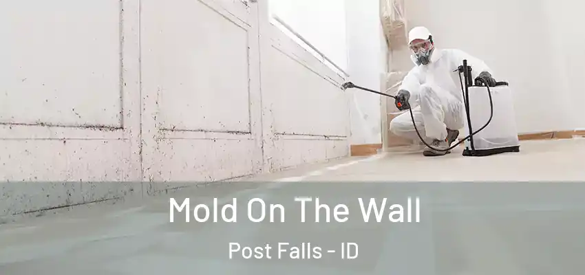 Mold On The Wall Post Falls - ID