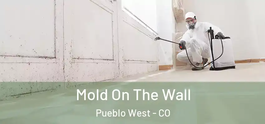Mold On The Wall Pueblo West - CO