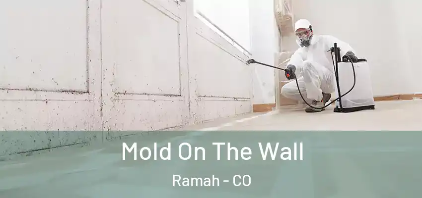 Mold On The Wall Ramah - CO