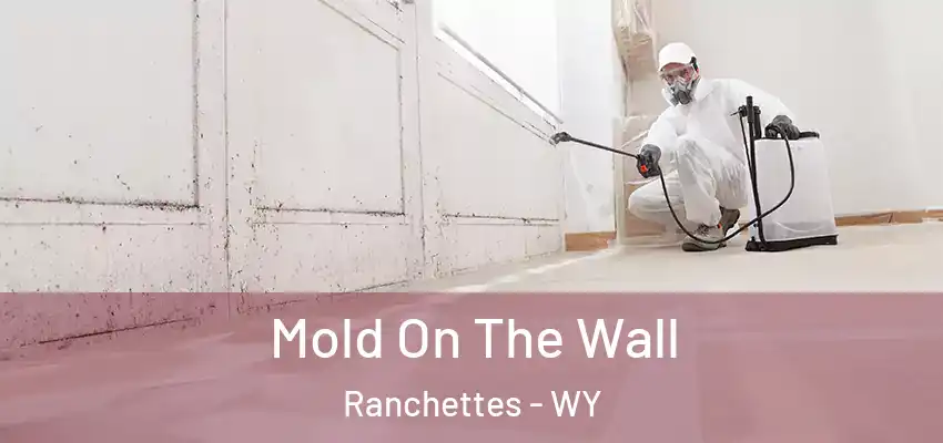  Mold On The Wall Ranchettes - WY