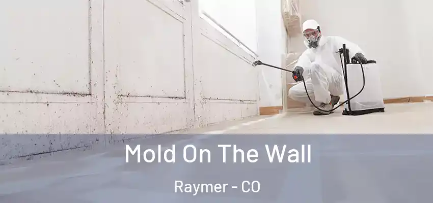  Mold On The Wall Raymer - CO