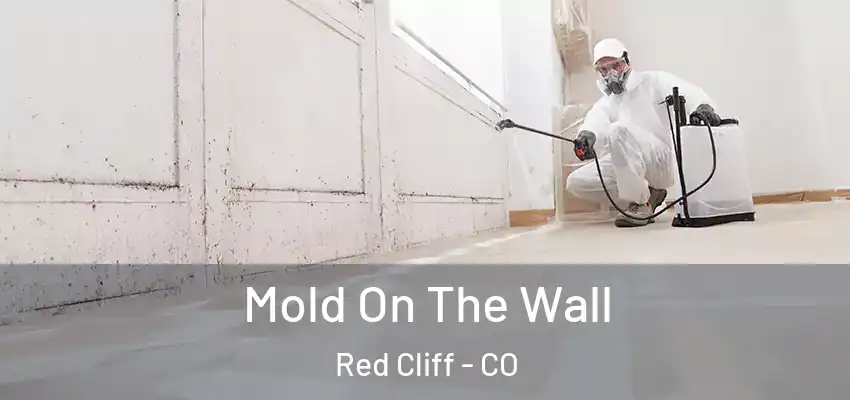  Mold On The Wall Red Cliff - CO