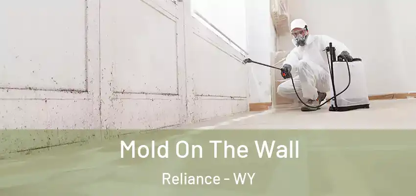  Mold On The Wall Reliance - WY