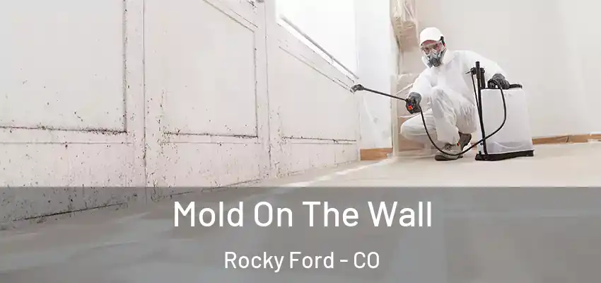  Mold On The Wall Rocky Ford - CO
