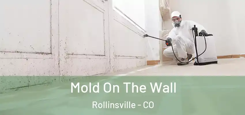  Mold On The Wall Rollinsville - CO