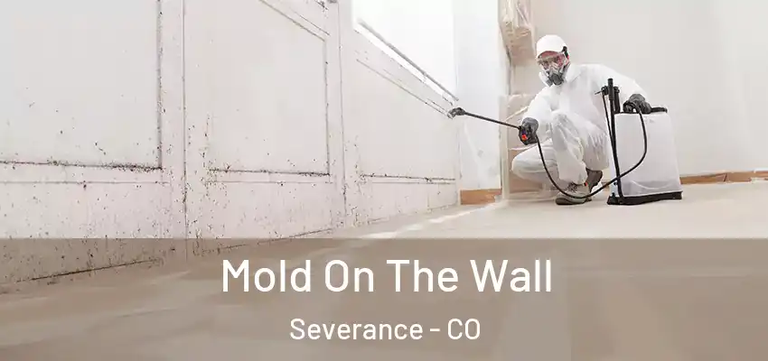  Mold On The Wall Severance - CO