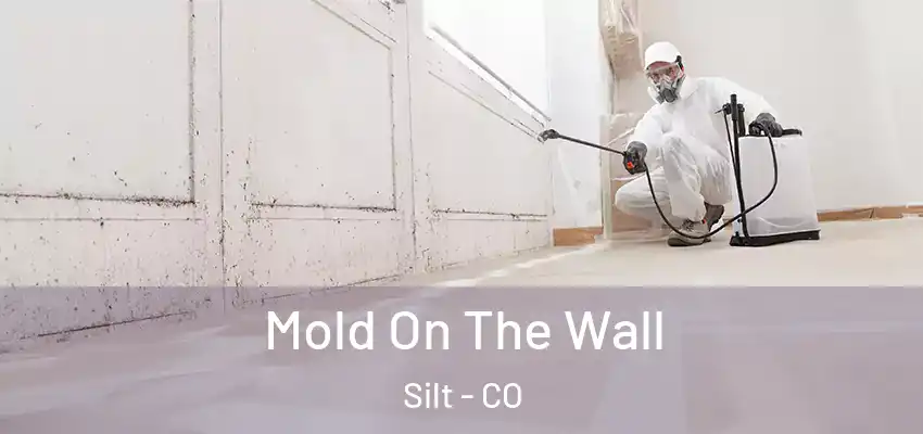 Mold On The Wall Silt - CO