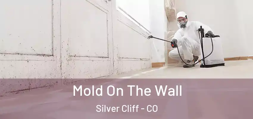 Mold On The Wall Silver Cliff - CO