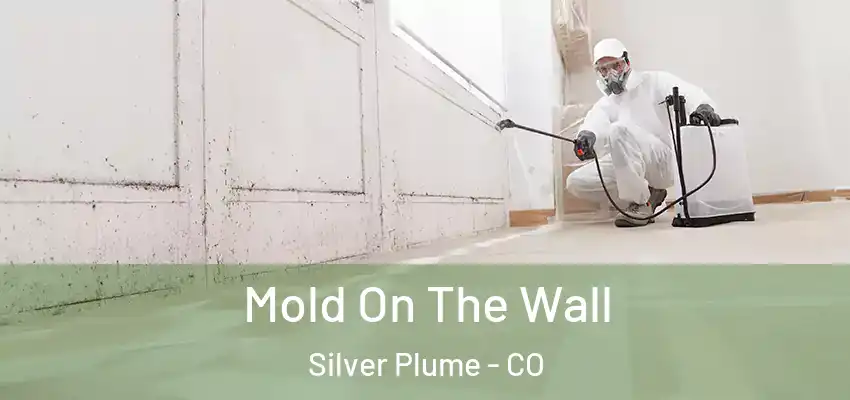 Mold On The Wall Silver Plume - CO