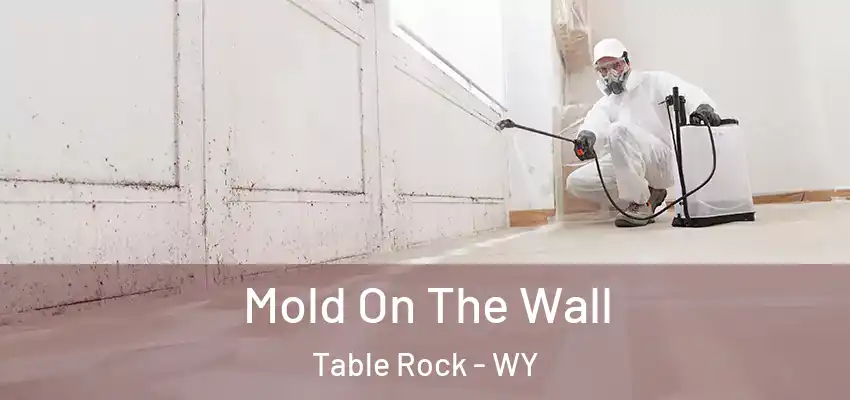  Mold On The Wall Table Rock - WY