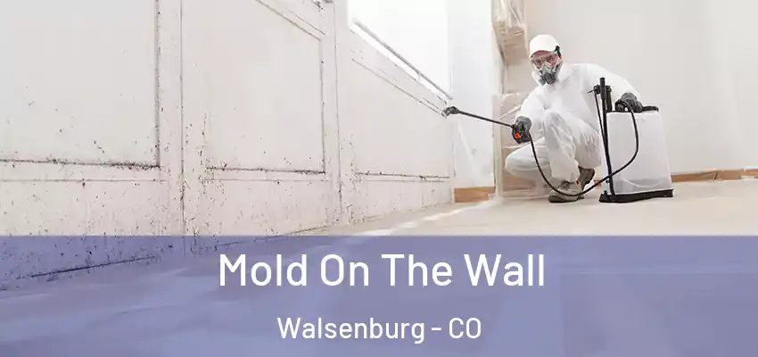  Mold On The Wall Walsenburg - CO