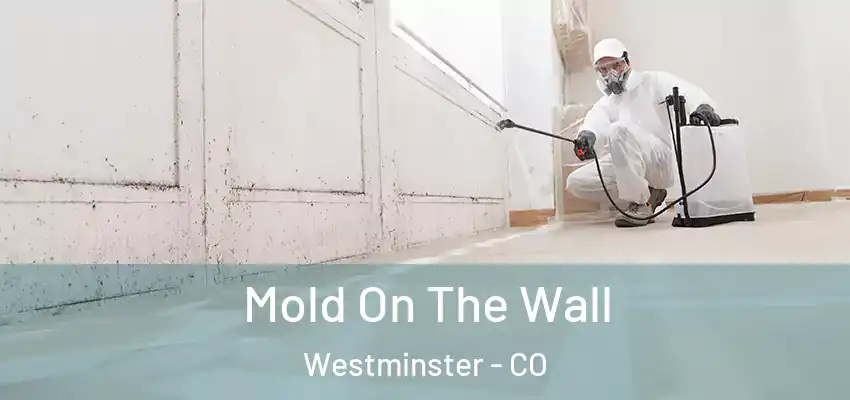  Mold On The Wall Westminster - CO