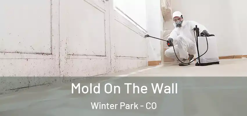 Mold On The Wall Winter Park - CO