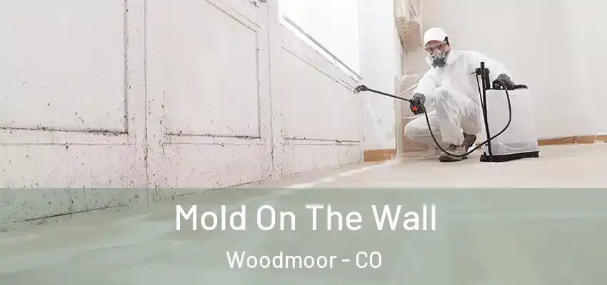 Mold On The Wall Woodmoor - CO