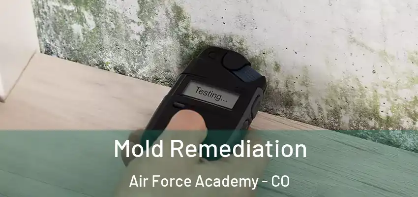 Mold Remediation Air Force Academy - CO