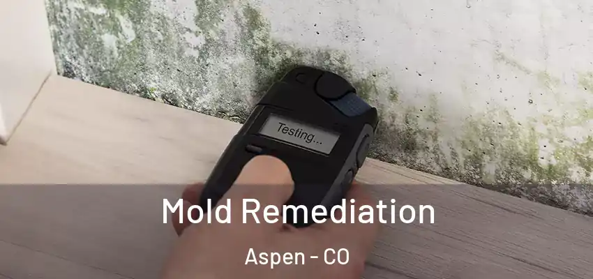 Mold Remediation Aspen - CO