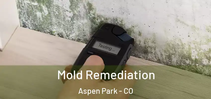  Mold Remediation Aspen Park - CO
