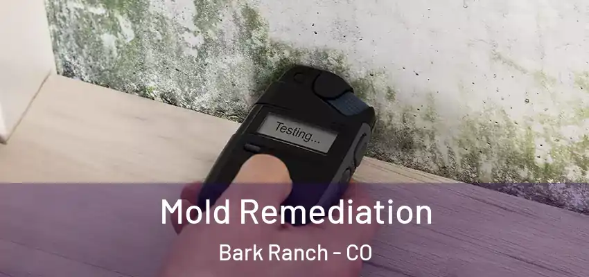  Mold Remediation Bark Ranch - CO