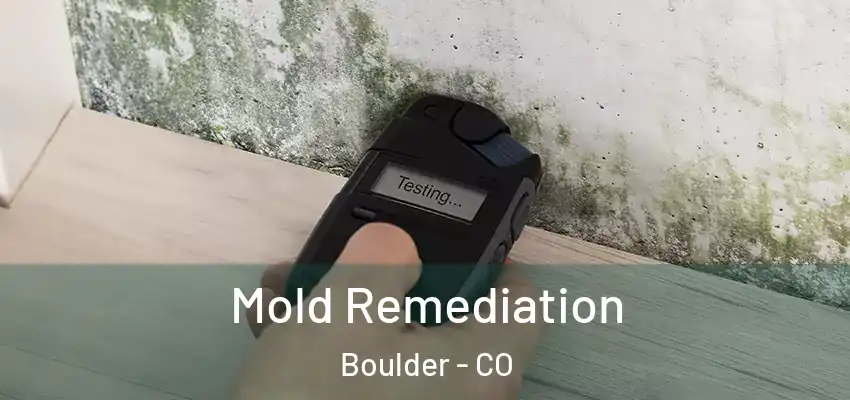 Mold Remediation Boulder - CO