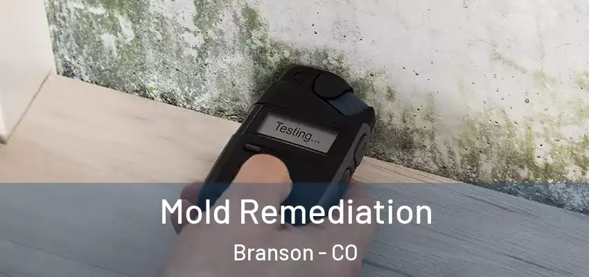  Mold Remediation Branson - CO