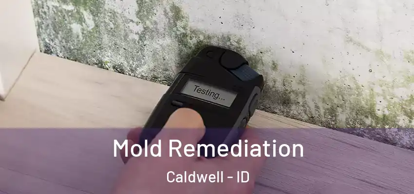 Mold Remediation Caldwell - ID