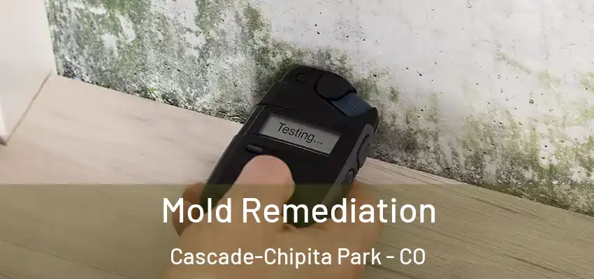  Mold Remediation Cascade-Chipita Park - CO