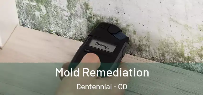 Mold Remediation Centennial - CO