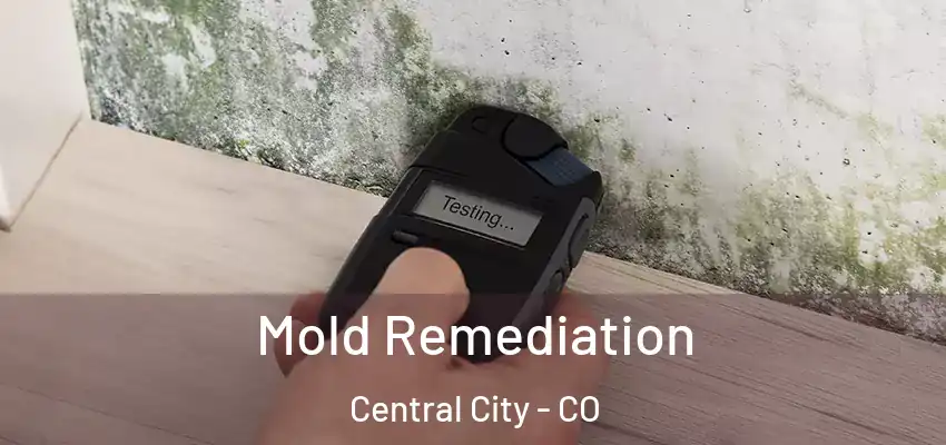  Mold Remediation Central City - CO