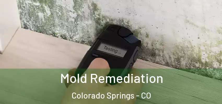  Mold Remediation Colorado Springs - CO
