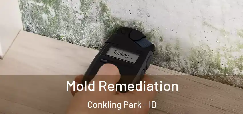  Mold Remediation Conkling Park - ID