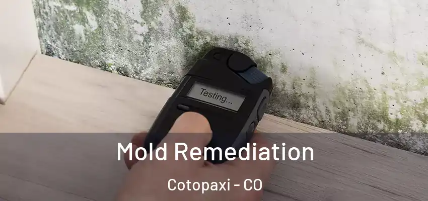 Mold Remediation Cotopaxi - CO