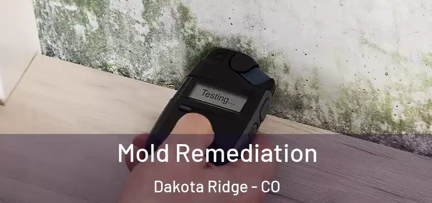  Mold Remediation Dakota Ridge - CO