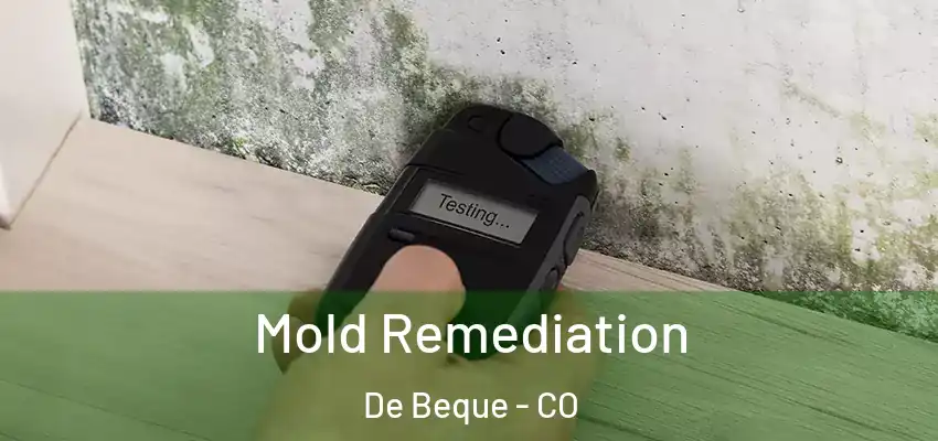 Mold Remediation De Beque - CO