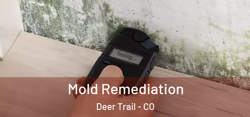  Mold Remediation Deer Trail - CO