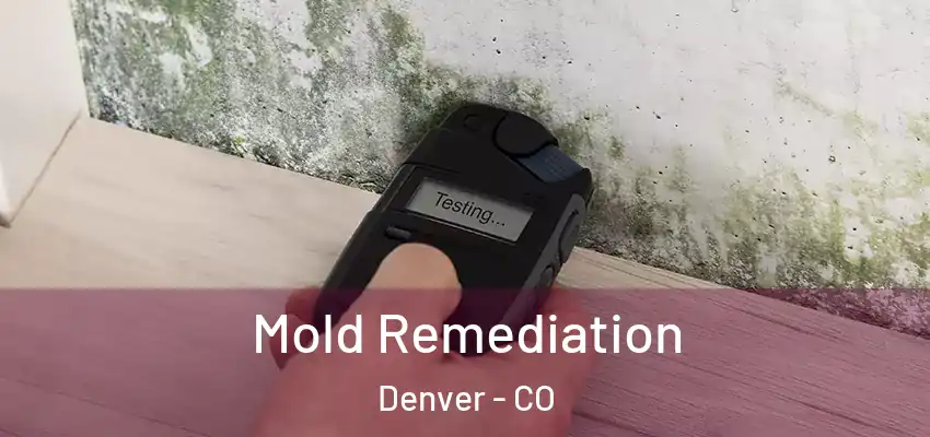  Mold Remediation Denver - CO