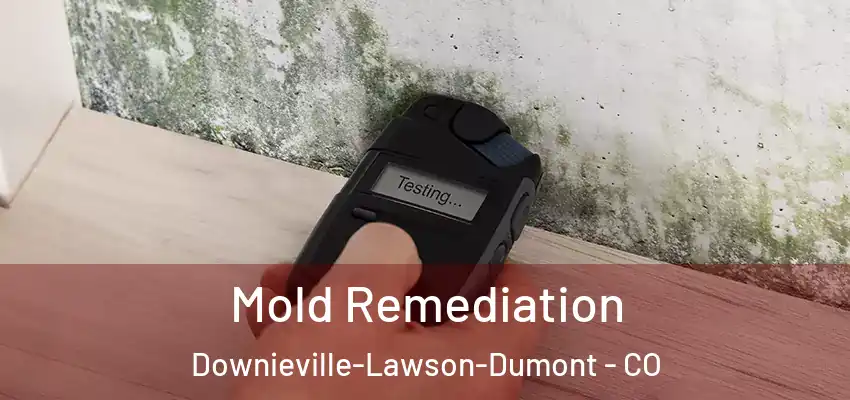  Mold Remediation Downieville-Lawson-Dumont - CO