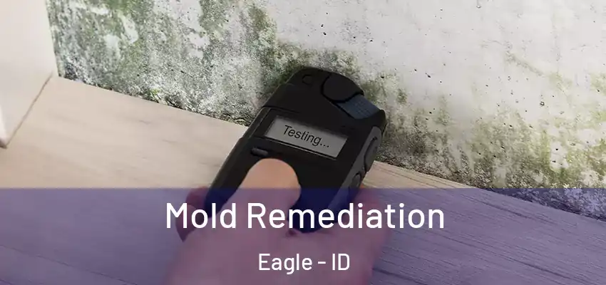  Mold Remediation Eagle - ID