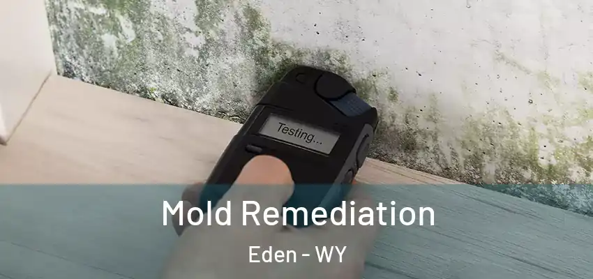  Mold Remediation Eden - WY
