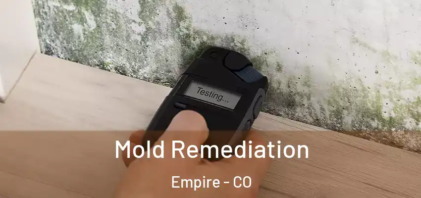 Mold Remediation Empire - CO
