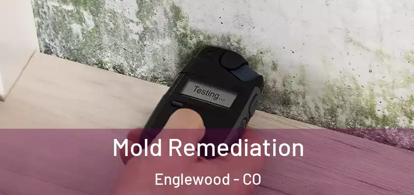 Mold Remediation Englewood - CO