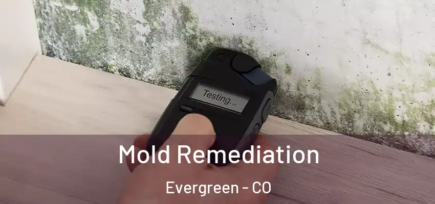  Mold Remediation Evergreen - CO