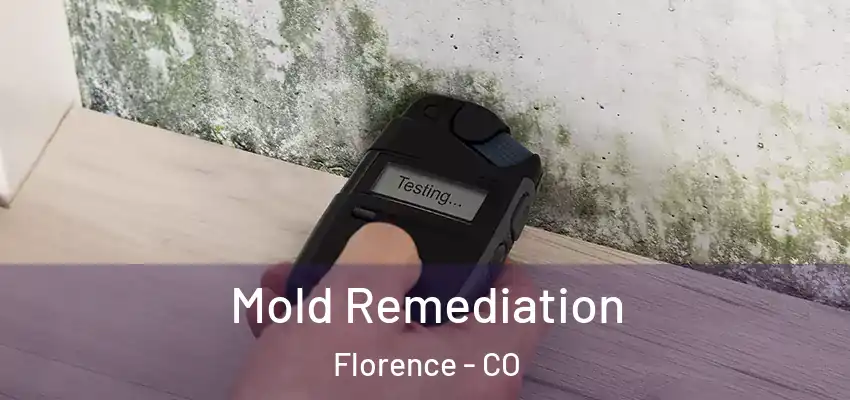 Mold Remediation Florence - CO
