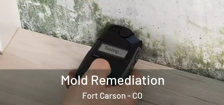  Mold Remediation Fort Carson - CO