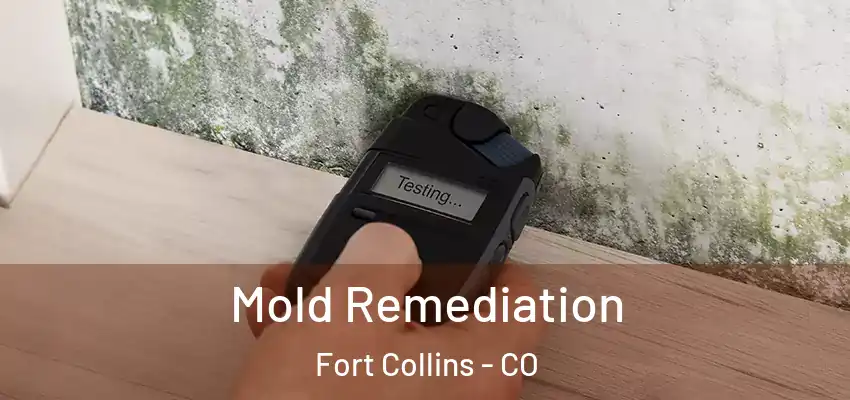  Mold Remediation Fort Collins - CO