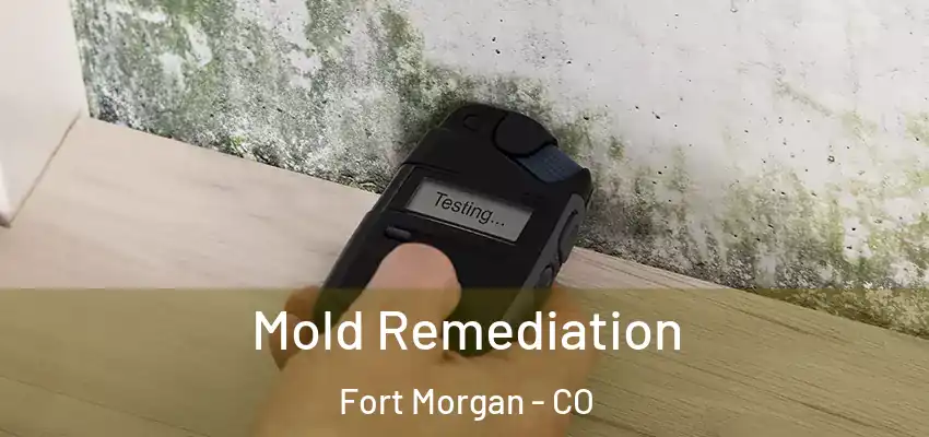  Mold Remediation Fort Morgan - CO