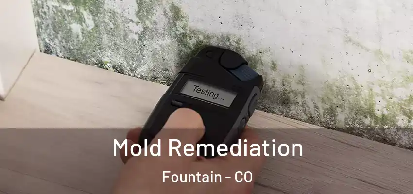 Mold Remediation Fountain - CO