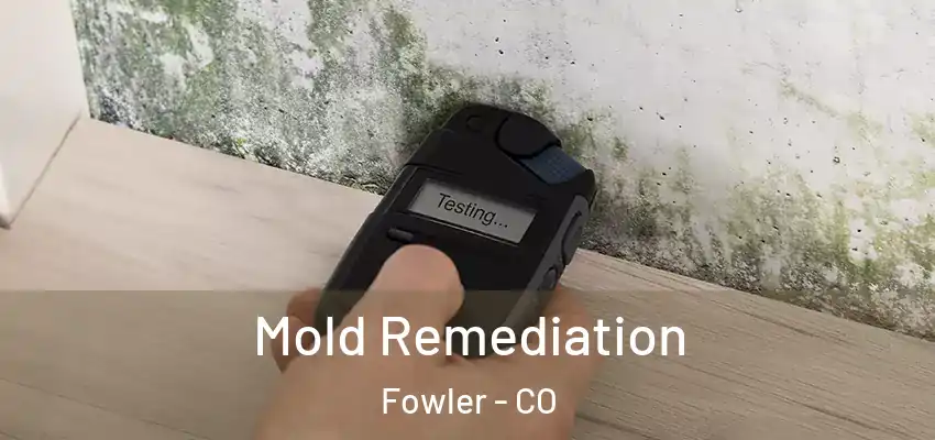 Mold Remediation Fowler - CO