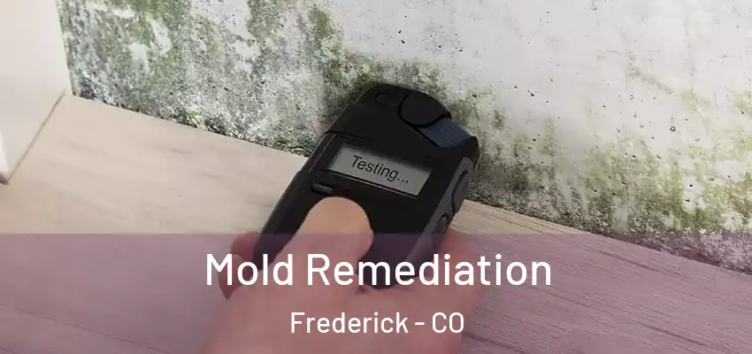  Mold Remediation Frederick - CO