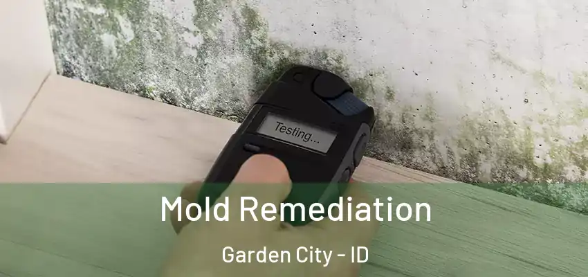 Mold Remediation Garden City - ID