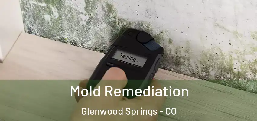  Mold Remediation Glenwood Springs - CO